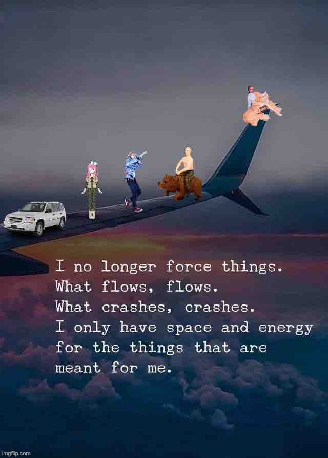 “I no longer force things. What flows, flows. What crashes, crashes…” | image tagged in libertarian alliance i no longer force things | made w/ Imgflip meme maker