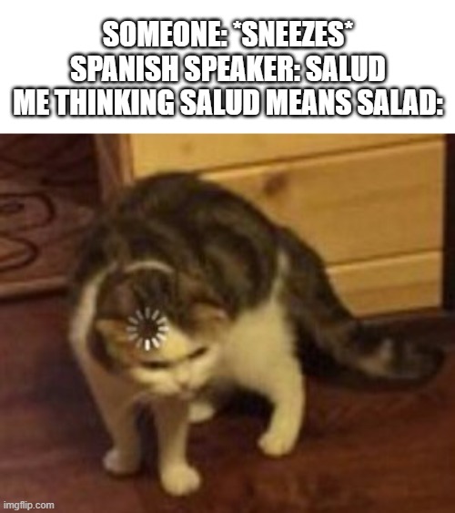 Spanish meme | SOMEONE: *SNEEZES*
SPANISH SPEAKER: SALUD
ME THINKING SALUD MEANS SALAD: | image tagged in loading cat | made w/ Imgflip meme maker