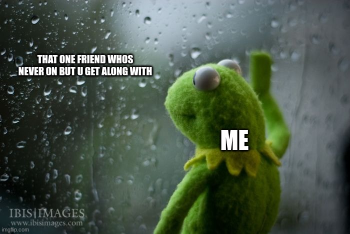 kermit window | THAT ONE FRIEND WHOS NEVER ON BUT U GET ALONG WITH ME | image tagged in kermit window | made w/ Imgflip meme maker