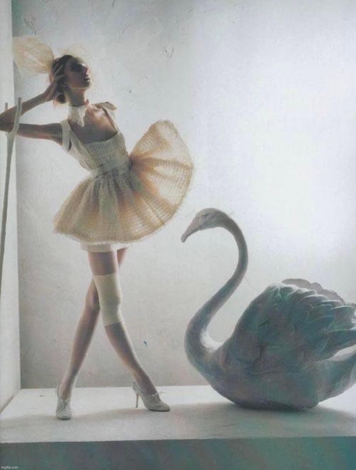 Dancer with Swan | image tagged in dancer with swan | made w/ Imgflip meme maker