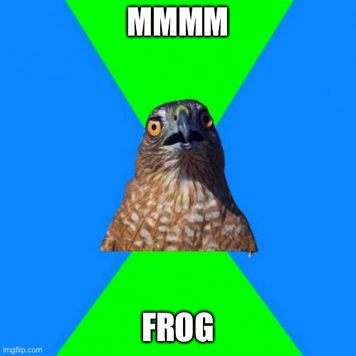 Hawkward Meme | MMMM FROG | image tagged in memes,hawkward | made w/ Imgflip meme maker