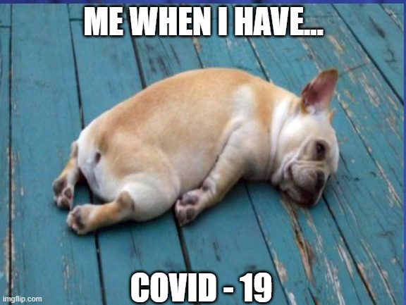 Covid - 19 | ME WHEN I HAVE... COVID - 19 | image tagged in covid-19,lazy,funny memes,memes | made w/ Imgflip meme maker