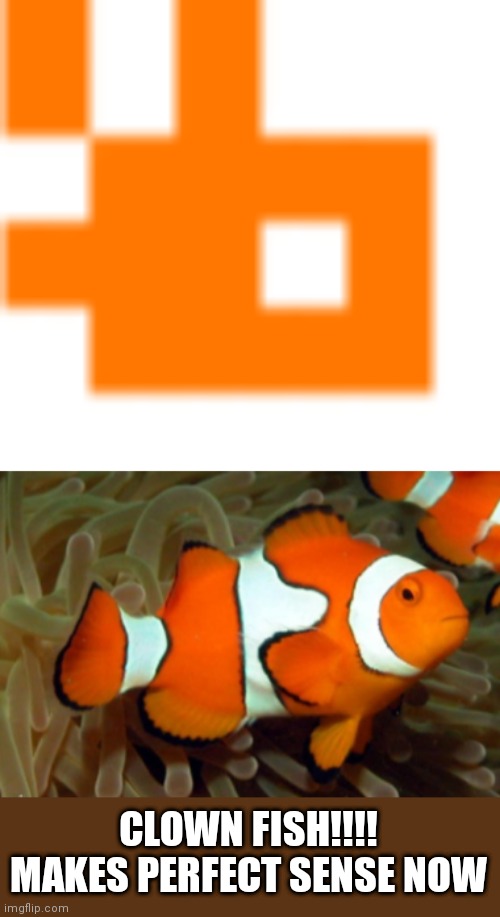 CLOWN FISH!!!! MAKES PERFECT SENSE NOW | made w/ Imgflip meme maker