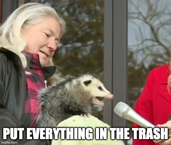 possum | PUT EVERYTHING IN THE TRASH | image tagged in interview possum | made w/ Imgflip meme maker