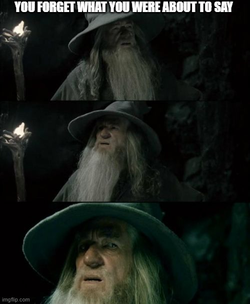 Confused Gandalf Meme | YOU FORGET WHAT YOU WERE ABOUT TO SAY | image tagged in memes,confused gandalf | made w/ Imgflip meme maker