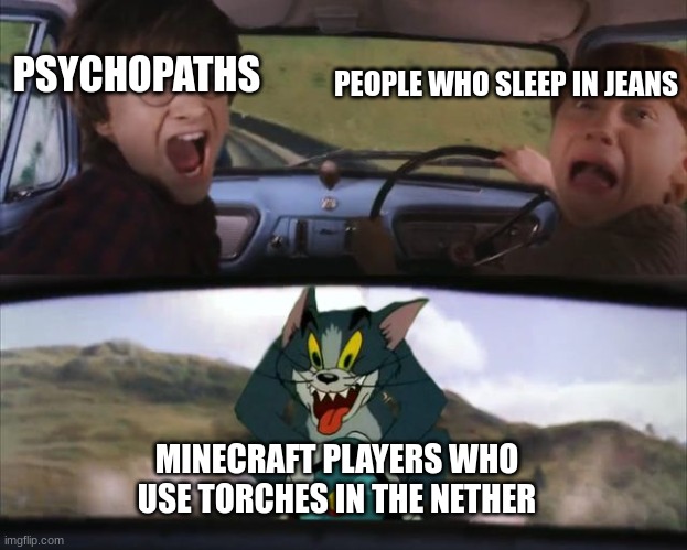 Harry Potter Tom cat meme | PEOPLE WHO SLEEP IN JEANS; PSYCHOPATHS; MINECRAFT PLAYERS WHO USE TORCHES IN THE NETHER | image tagged in harry potter tom cat meme | made w/ Imgflip meme maker