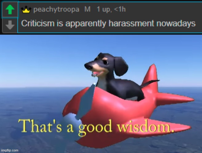 . | image tagged in that's a good wisdom | made w/ Imgflip meme maker