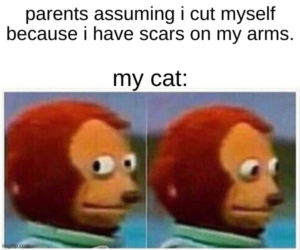 Monkey Puppet Meme | parents assuming i cut myself because i have scars on my arms. my cat: | image tagged in memes,monkey puppet | made w/ Imgflip meme maker