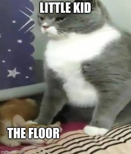 Big cat stomping small cat | LITTLE KID THE FLOOR | image tagged in big cat stomping small cat | made w/ Imgflip meme maker