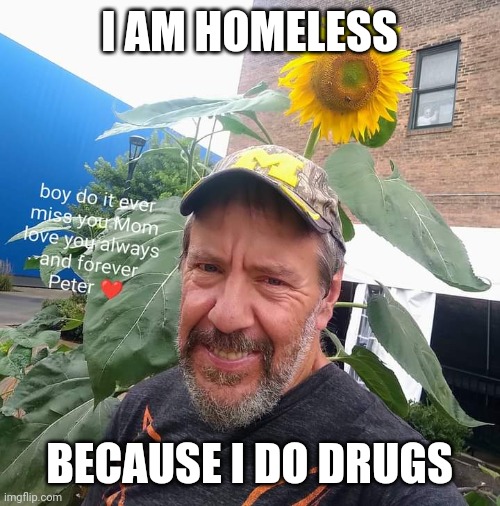 Peter Plant |  I AM HOMELESS; BECAUSE I DO DRUGS | image tagged in peter plant,homeless,begging | made w/ Imgflip meme maker