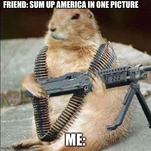 mean squirel | FRIEND: SUM UP AMERICA IN ONE PICTURE; ME: | image tagged in mean squirel | made w/ Imgflip meme maker