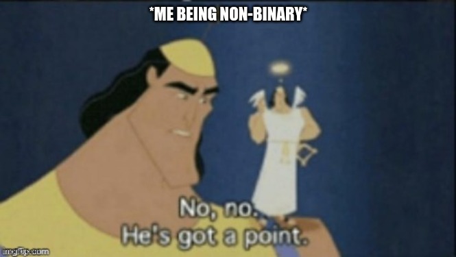 no no hes got a point | *ME BEING NON-BINARY* | image tagged in no no hes got a point | made w/ Imgflip meme maker