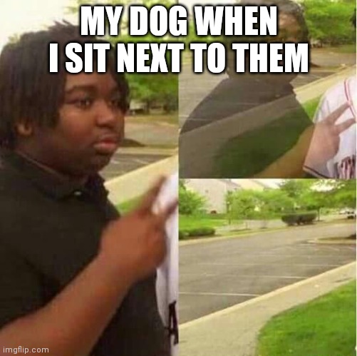 disappearing  | MY DOG WHEN I SIT NEXT TO THEM | image tagged in disappearing | made w/ Imgflip meme maker