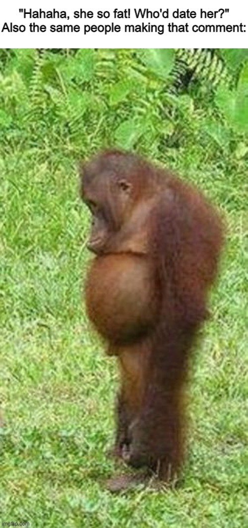 Redditors | "Hahaha, she so fat! Who'd date her?"
Also the same people making that comment: | image tagged in chubby orangutan,memes | made w/ Imgflip meme maker