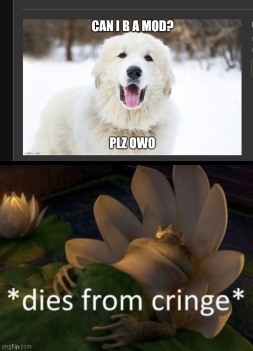 c r i n g e | image tagged in dies from cringe | made w/ Imgflip meme maker
