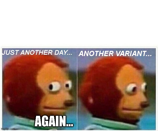 another day another variant | ANOTHER VARIANT... JUST ANOTHER DAY... AGAIN... | image tagged in memes,monkey puppet | made w/ Imgflip meme maker