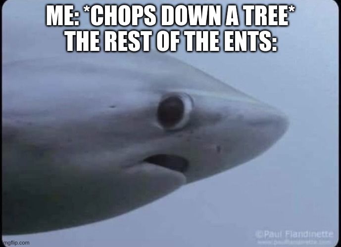 idk what to post | ME: *CHOPS DOWN A TREE*
THE REST OF THE ENTS: | made w/ Imgflip meme maker
