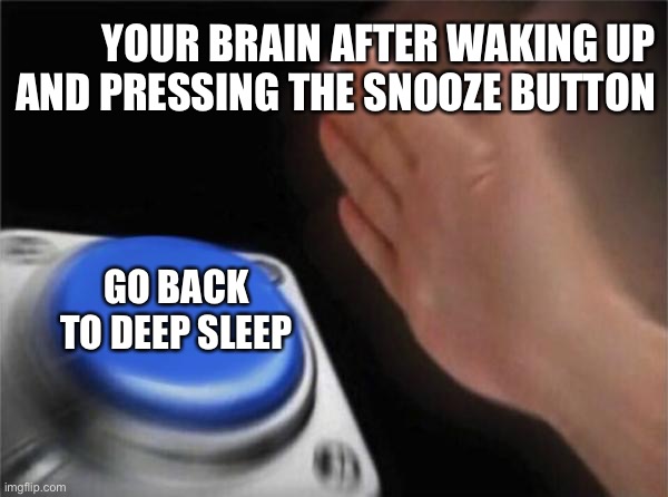 Blank Nut Button | YOUR BRAIN AFTER WAKING UP AND PRESSING THE SNOOZE BUTTON; GO BACK TO DEEP SLEEP | image tagged in memes,blank nut button | made w/ Imgflip meme maker