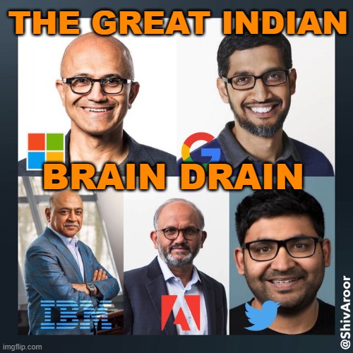 The Great Indian Brain Drain | THE GREAT INDIAN; BRAIN DRAIN | image tagged in the great indian brain drain | made w/ Imgflip meme maker