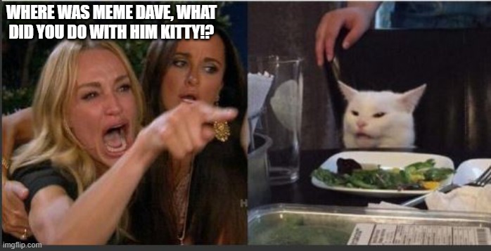 woman yelling at cat without white top | WHERE WAS MEME DAVE, WHAT DID YOU DO WITH HIM KITTY!? | image tagged in woman yelling at cat without white top | made w/ Imgflip meme maker