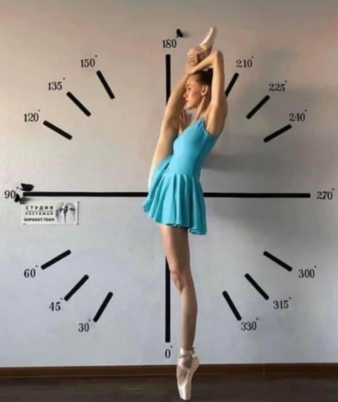 Dancer with angle wheel Blank Meme Template