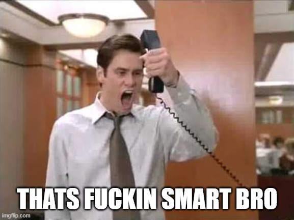 Liar Liar Stop Breaking The Law | THATS FUCKIN SMART BRO | image tagged in liar liar stop breaking the law | made w/ Imgflip meme maker