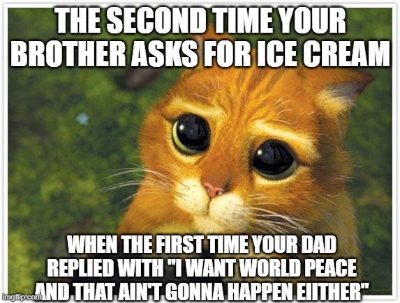 My Brother in One Image | THE SECOND TIME YOUR BROTHER ASKS FOR ICE CREAM; WHEN THE FIRST TIME YOUR DAD REPLIED WITH "I WANT WORLD PEACE AND THAT AIN'T GONNA HAPPEN EIITHER" | image tagged in memes,shrek cat | made w/ Imgflip meme maker