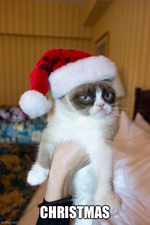 Grumpy Cat Christmas Meme | CHRISTMAS | image tagged in memes,grumpy cat christmas,grumpy cat | made w/ Imgflip meme maker