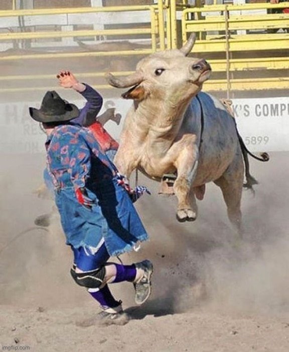 Rampaging bull | image tagged in rampaging bull | made w/ Imgflip meme maker