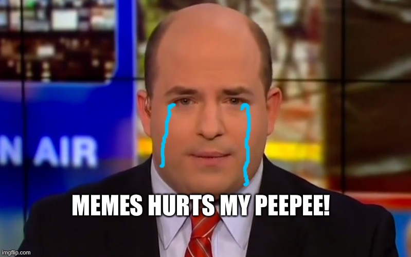 MEMES HURTS MY PEEPEE! | image tagged in cryin' brian stelter | made w/ Imgflip meme maker