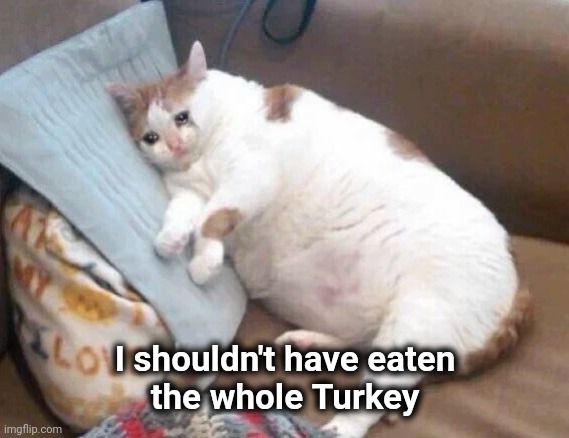Fat Cat Crying | I shouldn't have eaten
the whole Turkey | image tagged in fat cat crying | made w/ Imgflip meme maker