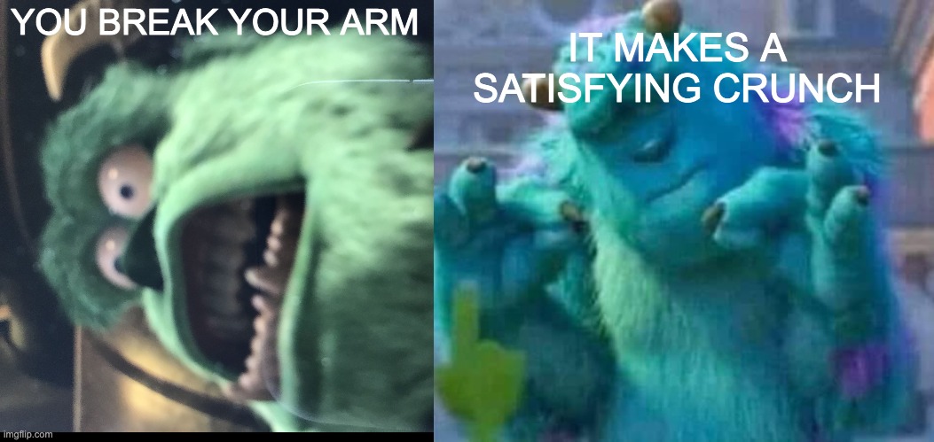 Day 894 of running out of titles | IT MAKES A SATISFYING CRUNCH; YOU BREAK YOUR ARM | image tagged in sullen sullivan,sully shutdown | made w/ Imgflip meme maker