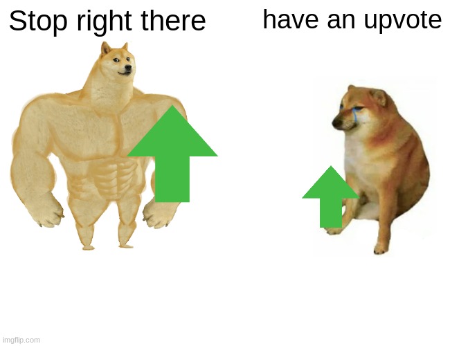 do these really work | Stop right there; have an upvote | image tagged in memes,buff doge vs cheems | made w/ Imgflip meme maker