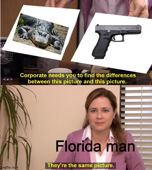 Day 894 of running out of titles | Florida man | image tagged in memes,they're the same picture | made w/ Imgflip meme maker