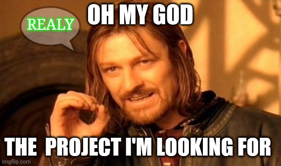 One Does Not Simply Meme | OH MY GOD; REALY; THE  PROJECT I'M LOOKING FOR | image tagged in memes,one does not simply | made w/ Imgflip meme maker