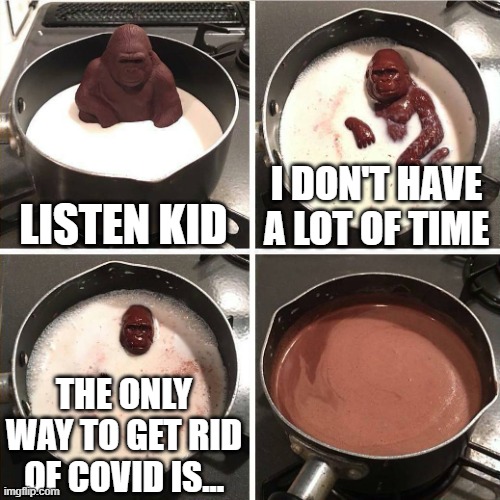 chocolate gorilla | LISTEN KID; I DON'T HAVE A LOT OF TIME; THE ONLY WAY TO GET RID OF COVID IS... | image tagged in chocolate gorilla | made w/ Imgflip meme maker