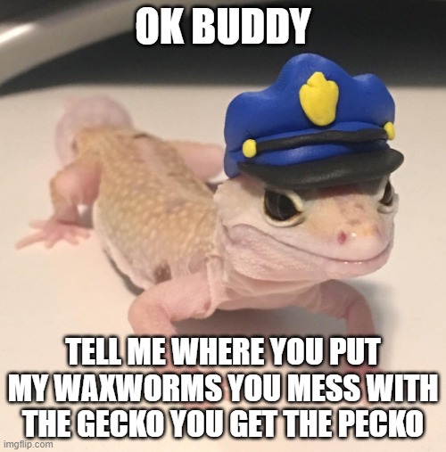 lol | OK BUDDY; TELL ME WHERE YOU PUT MY WAXWORMS YOU MESS WITH THE GECKO YOU GET THE PECKO | image tagged in officer geck | made w/ Imgflip meme maker