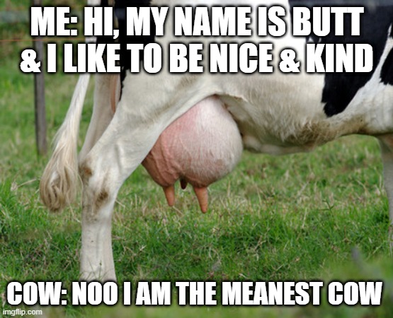 UDDER | ME: HI, MY NAME IS BUTT & I LIKE TO BE NICE & KIND; COW: NOO I AM THE MEANEST COW | image tagged in udder | made w/ Imgflip meme maker
