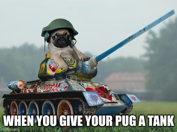 Army pug | WHEN YOU GIVE YOUR PUG A TANK | image tagged in army pug | made w/ Imgflip meme maker