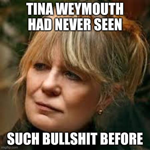 Tina Weymouth has never seen such bs before |  TINA WEYMOUTH HAD NEVER SEEN; SUCH BULLSHIT BEFORE | image tagged in talking heads | made w/ Imgflip meme maker