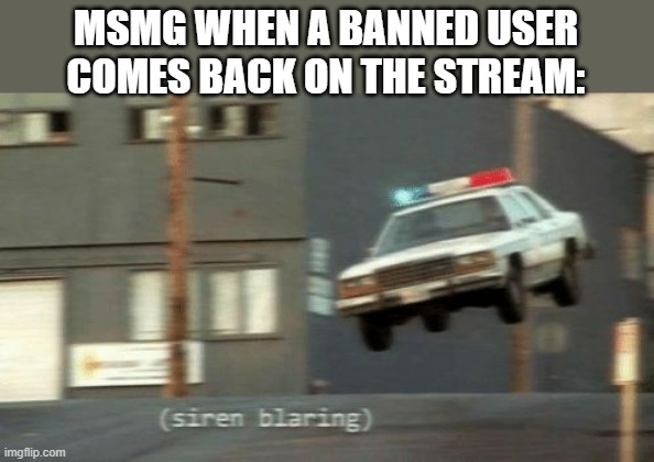 MSMG police | MSMG WHEN A BANNED USER COMES BACK ON THE STREAM: | image tagged in the police are on their way | made w/ Imgflip meme maker