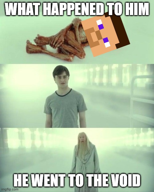 Dead Baby Voldemort / What Happened To Him | WHAT HAPPENED TO HIM; HE WENT TO THE VOID | image tagged in dead baby voldemort / what happened to him | made w/ Imgflip meme maker