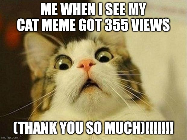 DANG! | ME WHEN I SEE MY CAT MEME GOT 355 VIEWS; (THANK YOU SO MUCH)!!!!!!! | image tagged in memes,scared cat | made w/ Imgflip meme maker