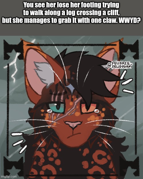 You can't let her fall / Can be romance (male ocs recommended) | You see her lose her footing trying to walk along a log crossing a cliff, but she manages to grab it with one claw. WWYD? | image tagged in warrior cat rp | made w/ Imgflip meme maker