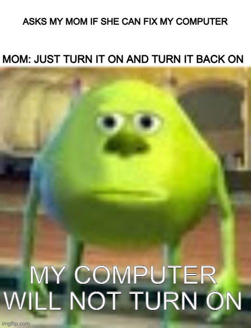 Day 894 of running out of titles | ASKS MY MOM IF SHE CAN FIX MY COMPUTER; MOM: JUST TURN IT ON AND TURN IT BACK ON; MY COMPUTER WILL NOT TURN ON | image tagged in sully wazowski | made w/ Imgflip meme maker