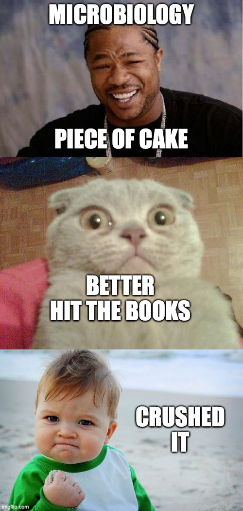  MICROBIOLOGY; PIECE OF CAKE; BETTER HIT THE BOOKS; CRUSHED
IT | image tagged in memes,yo dawg heard you,stunned cat,success kid original | made w/ Imgflip meme maker