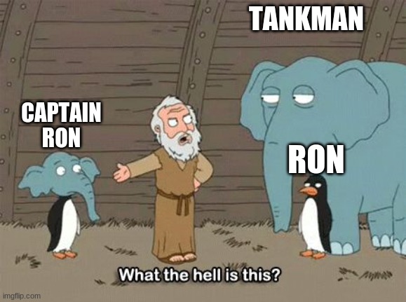 What the hell is this | TANKMAN RON CAPTAIN RON | image tagged in what the hell is this | made w/ Imgflip meme maker