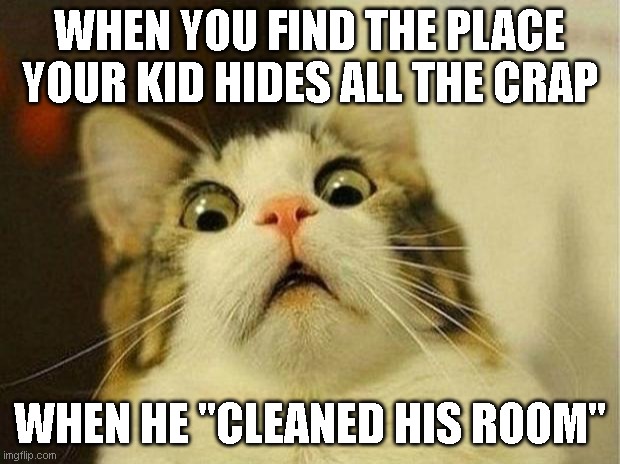 Truth kitty | WHEN YOU FIND THE PLACE YOUR KID HIDES ALL THE CRAP; WHEN HE "CLEANED HIS ROOM" | image tagged in memes,scared cat | made w/ Imgflip meme maker