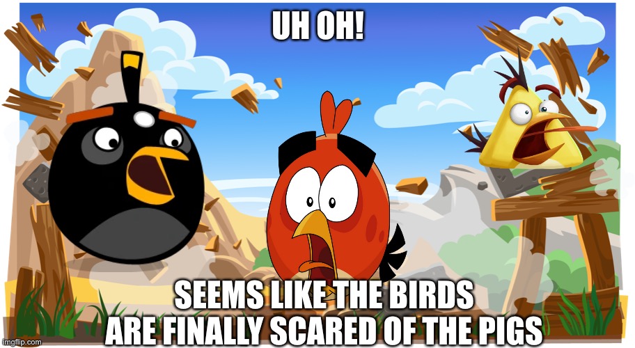 Scaredy Birds | UH OH! SEEMS LIKE THE BIRDS ARE FINALLY SCARED OF THE PIGS | image tagged in angry birds,angry,birds | made w/ Imgflip meme maker