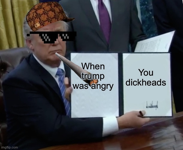 Trump Bill Signing Meme | When trump was angry; You dickheads | image tagged in memes,trump bill signing | made w/ Imgflip meme maker